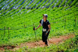 BIB: 284
                            <button type="button" onclick="openModal(19164100)" class="btn btn-primary btn-sm float-right btn-popup" data-toggle="modal" data-target=".modal-high-quality">
                        <i class="fas fa-shopping-cart"></i> Add to Cart
                    </button>
                                            <button type="button" onclick="isThisMe(19164100, true)" class="btn btn-success btn-sm float-right btn-popup btn-isme hidden" data-toggle="tooltip" data-placement="bottom" title="นี่คือรูปของคุณใช่ไหม คลิกที่นี่เพื่อเอาเข้าอัลบั้ม">
                        <i class="fas fa-plus"></i> Add to album
                    </button>
                    <button type="button" onclick="isThisMe(19164100, false)" class="btn btn-warning btn-sm float-right btn-popup btn-isnotme hidden">
                        <i class="fas fa-ban"></i> Remove from album
                    </button>